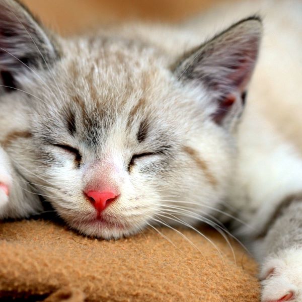 Django Learning Resources